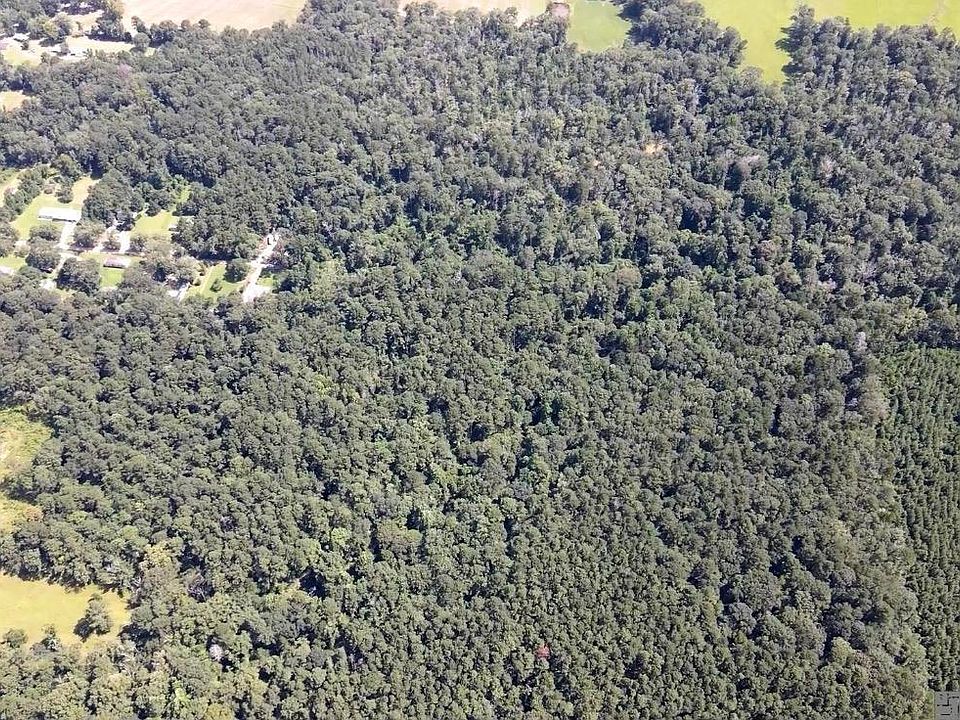 1st image of Henderson Ln