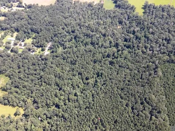 Henderson Ln, Clinton, LA 70722