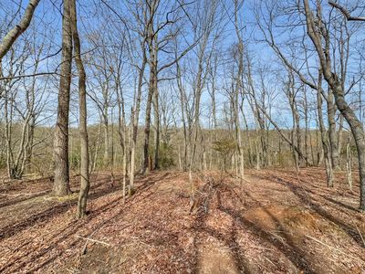 0 Box House Rd Lot 25, Belvidere, TN, 37306