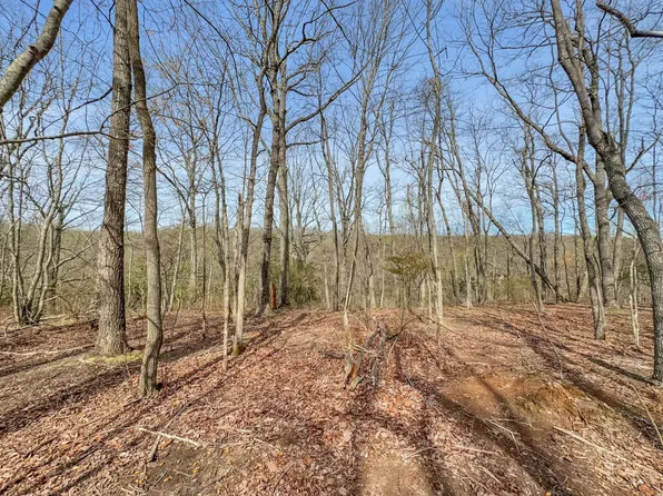 0 Box House Rd Lot 25, Belvidere, TN 37306