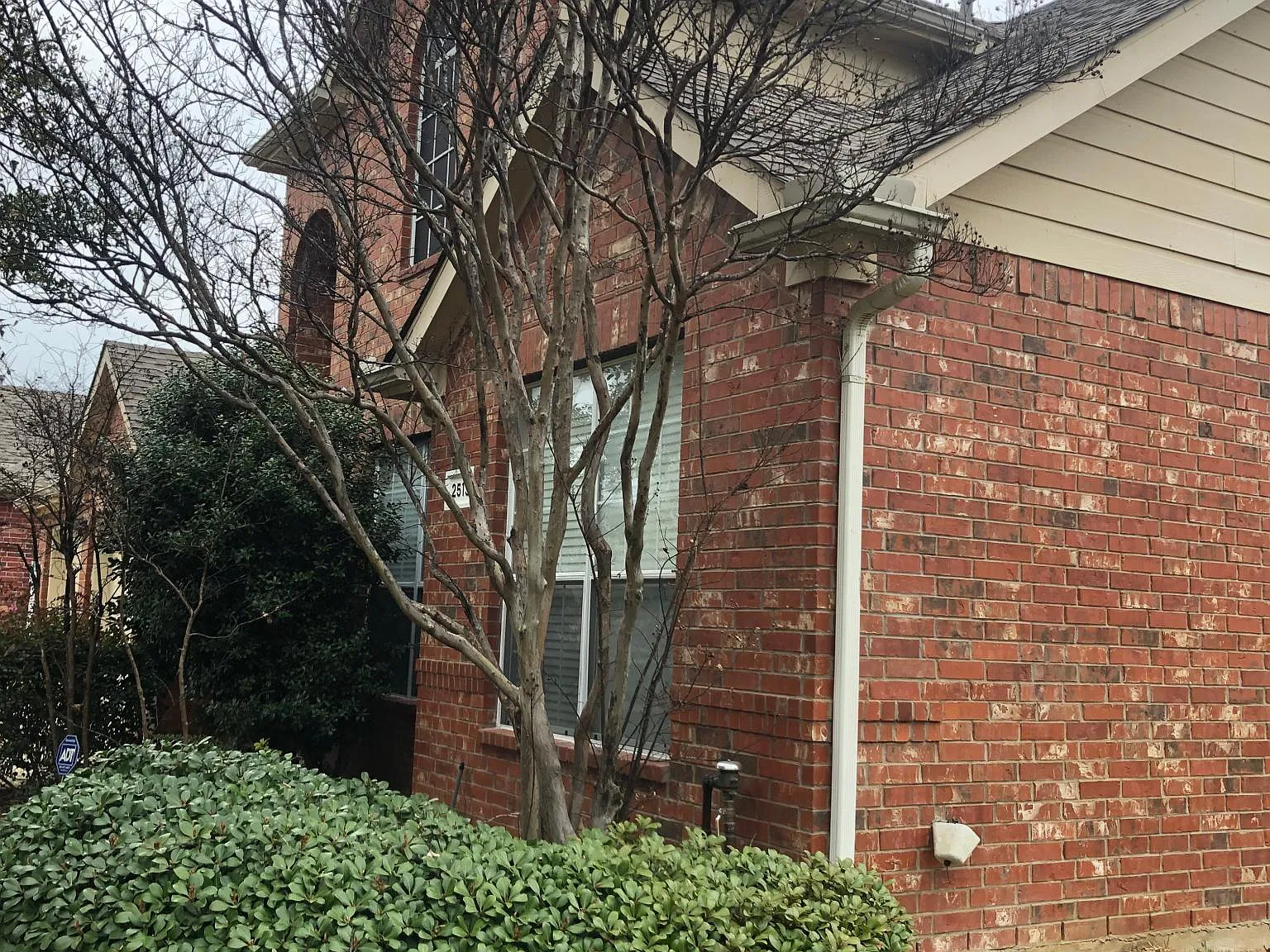 2513 Great Bear Ln — Photo 2