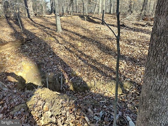 3rd image of 7060 Annapolis Woods Rd
