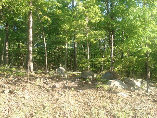 2nd image of 732 Sierra Trace Rd
