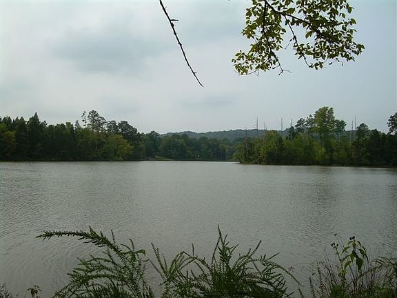 3rd image of 463 Smalley Ln