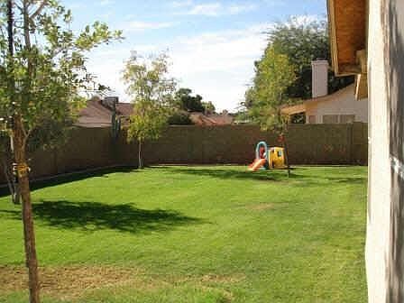 Large backyard