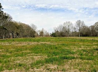 12433 Forrest Braud Ln, Gonzales, LA 70737