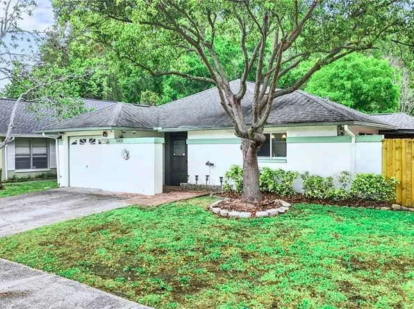5909 Bitterwood Ct, Tampa, FL 33625