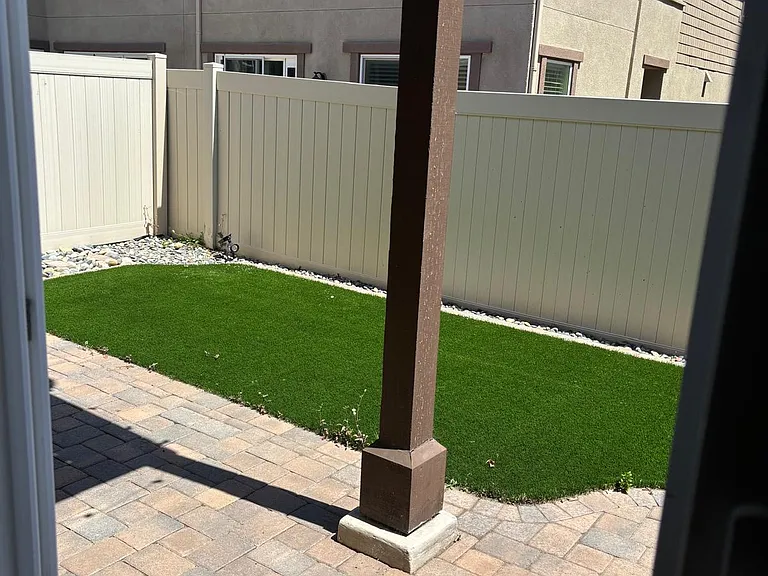 Large Backyard