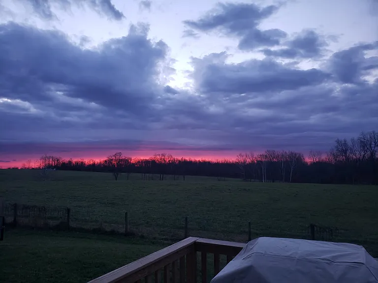View from the deck