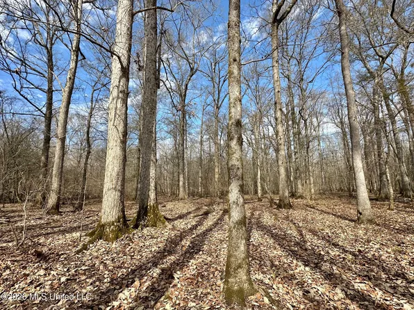 5 Scarborough Rd, Carthage, MS 39051
