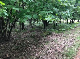 6807 Beechnut Ct, Stanwood, MI 49346