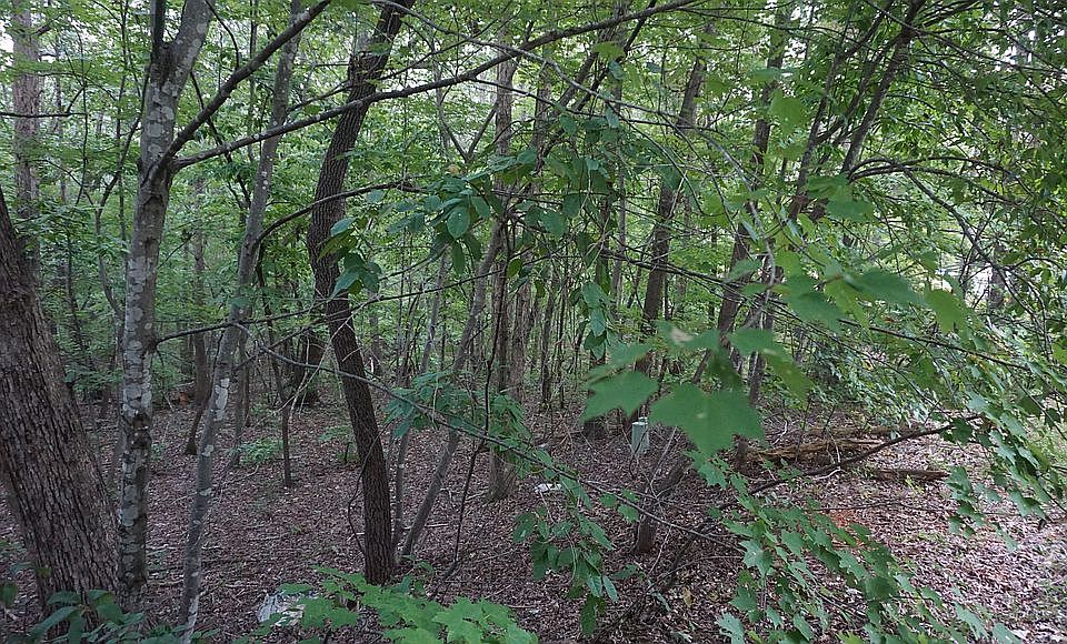 1st image of 0 Horse Mountain Dr