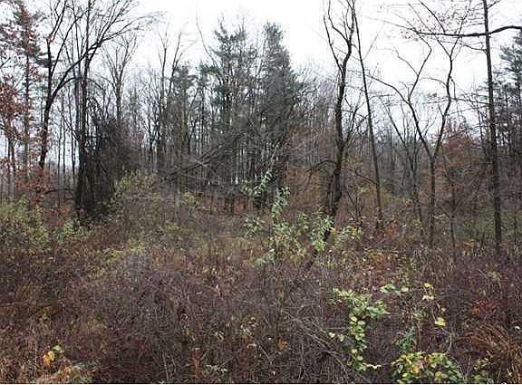 4th image of 5331 Township Road 187