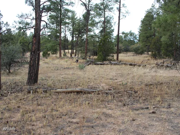 4 Elk Dr #U, Show Low, AZ 85901