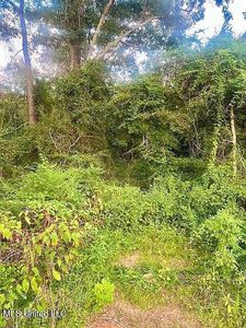 1104A N Jackson St NE, Brookhaven, MS, 39601