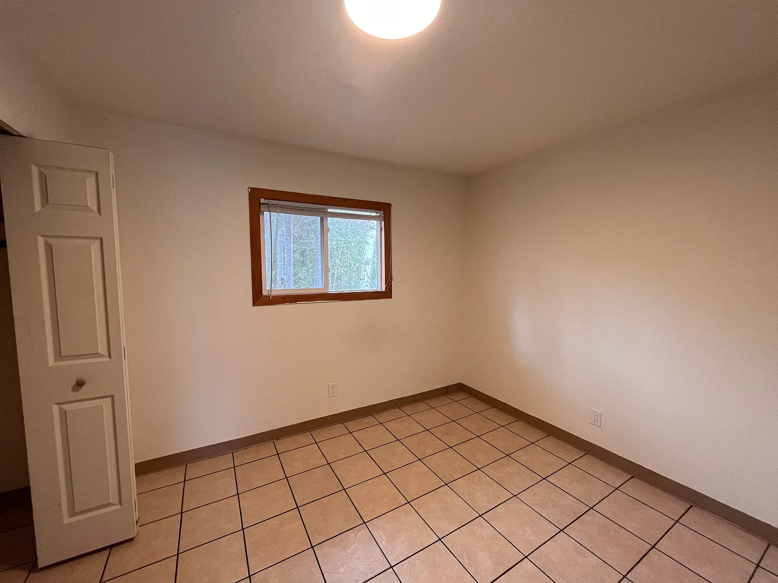 1 bed, 277 sqft, $925 — Photo 3