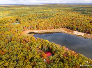 11256 S Roby Lake Dr, Baldwin, MI 49304