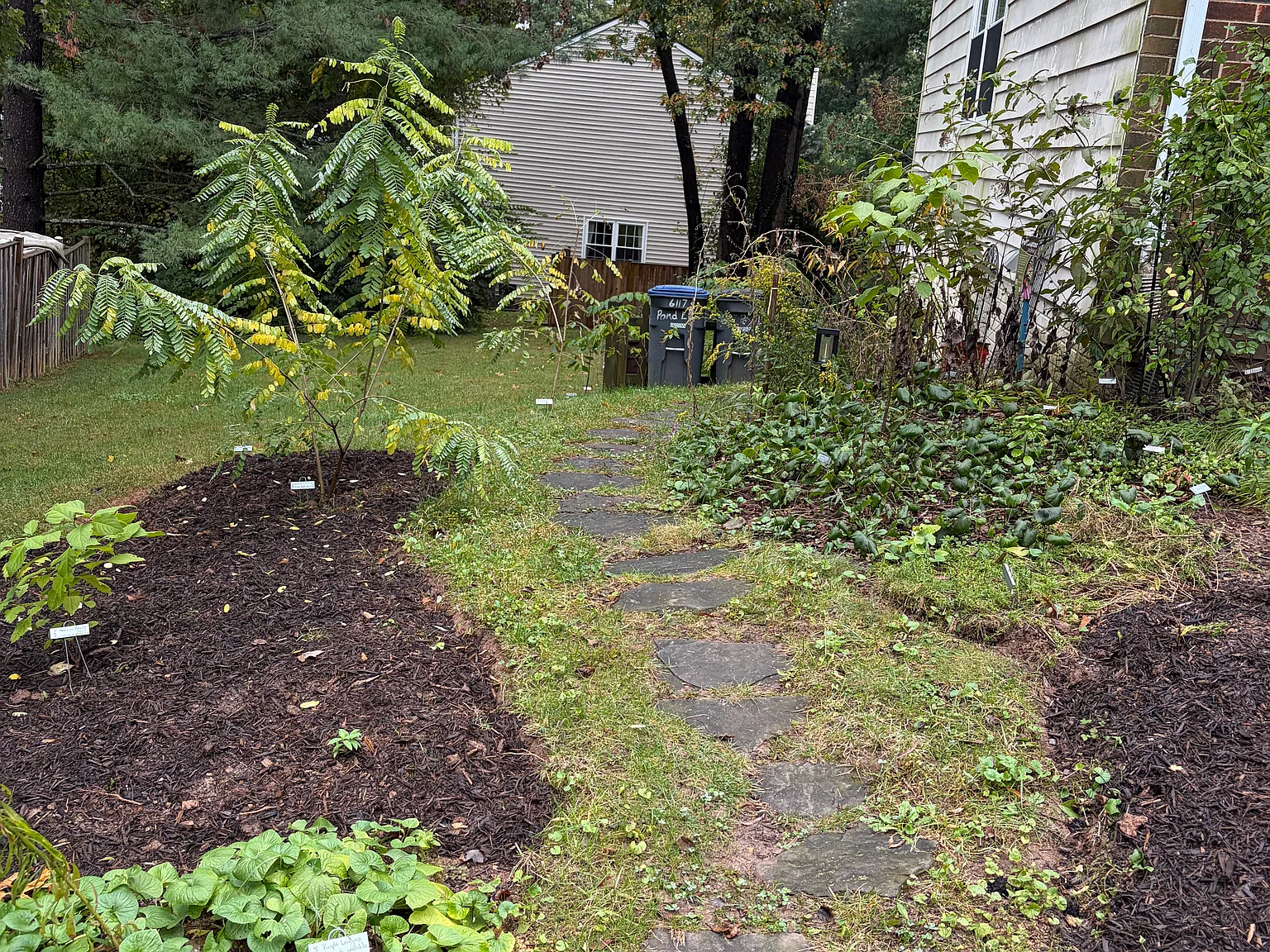 1 bed, 600 sqft, $1,500 — Photo 2