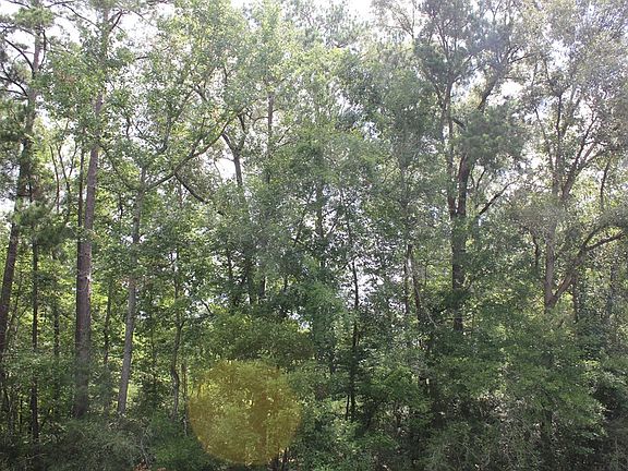 5th image of Pid 11666 Barnum Loop