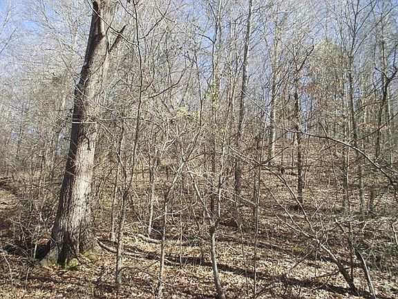 5th image of 605 Parkers Camp Ln