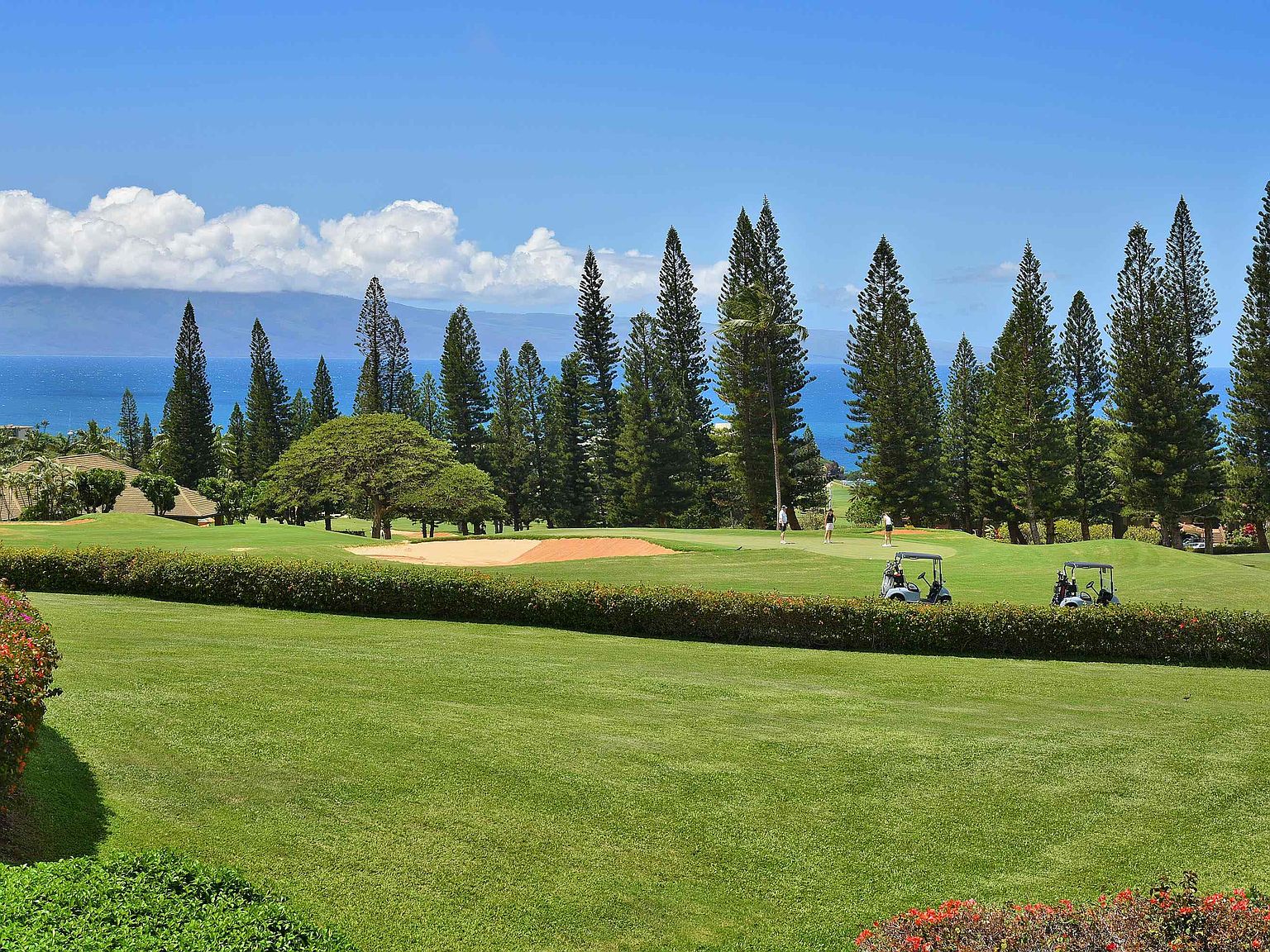50 Puu Anoano St APT 2206
