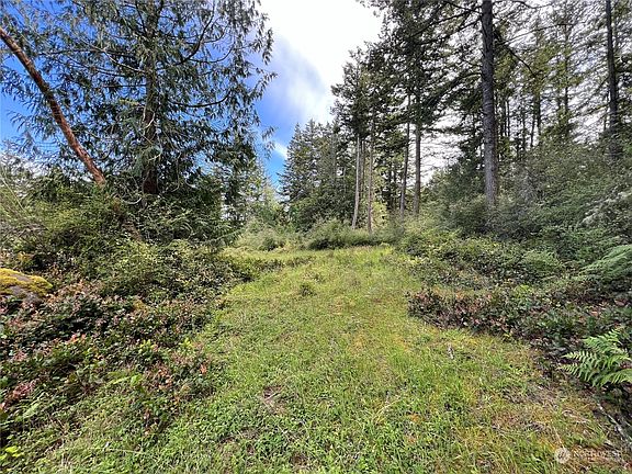 5th image of 249 Osprey Lane