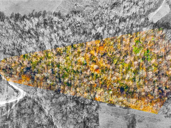 0 Grover Rd, Ohiopyle, PA 15470