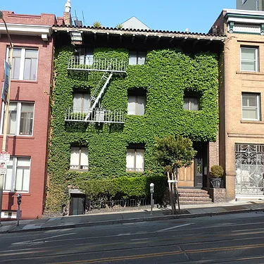 1022 Powell St photo 1