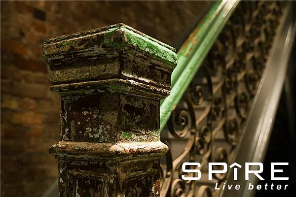 Rented by Spire Group | media 41