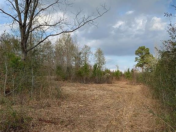 3rd image of Otis Bickham Rd