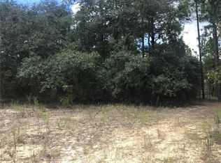 310 S Crestview Ave, Inverness, FL 34452