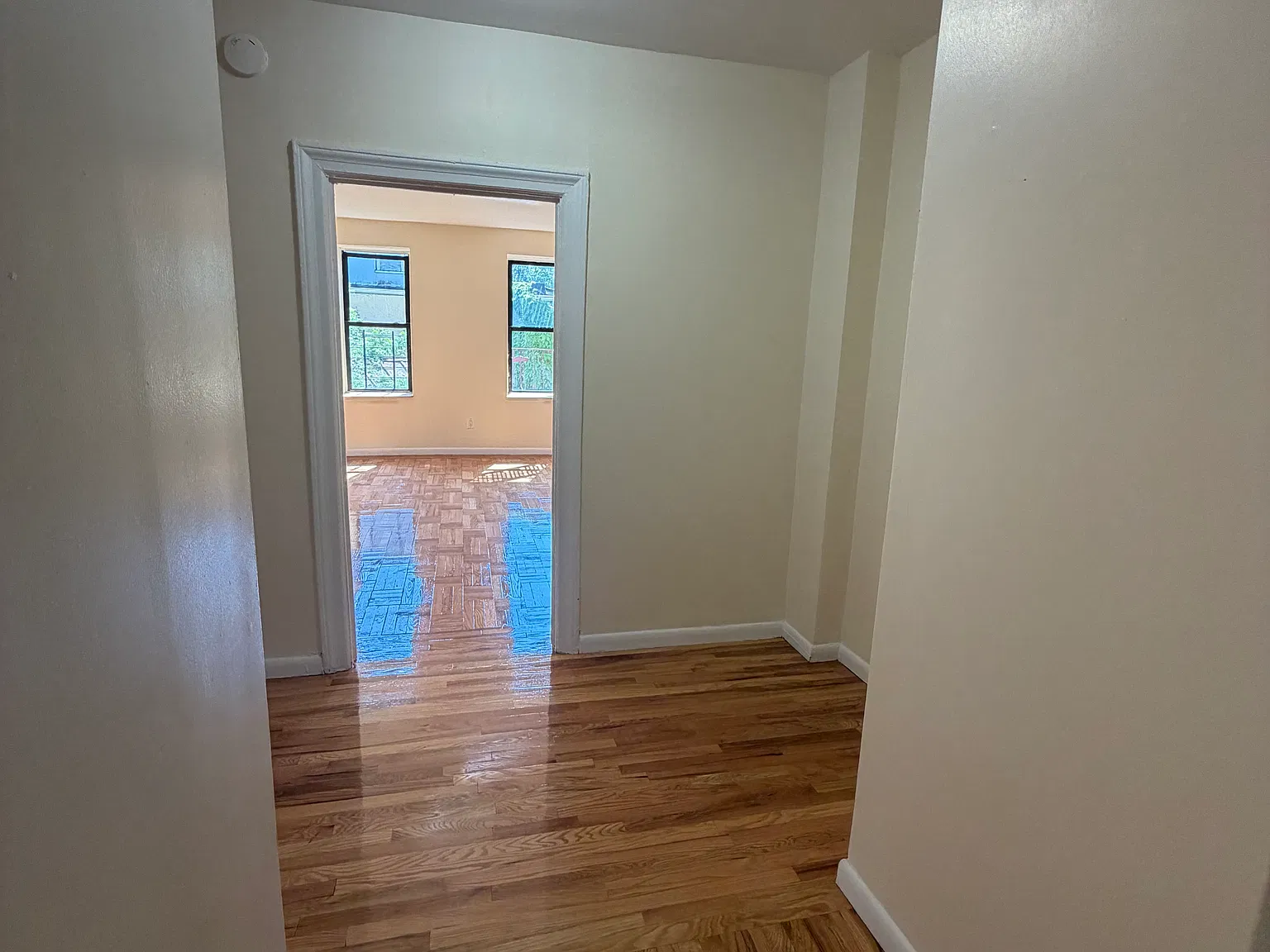 1 bed, 750 sqft, $2,000 — Photo 3