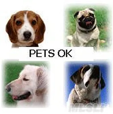 Sold by Benjamin Realty Since 1980 | media 4