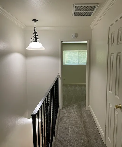 2511 Vallejo St — Photo 16