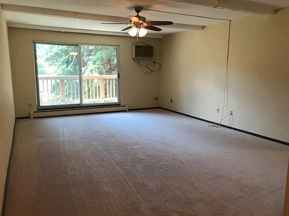 Spacious living room with new carpet