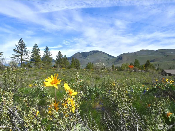 0 TBD Green Meadows Dr, Winthrop, WA 98862