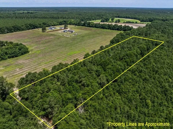 TBD 5.3 Acres Springtown Rd, Bamberg, SC 29003