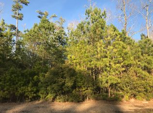 95 E Dowry Crk, Belhaven, NC 27810