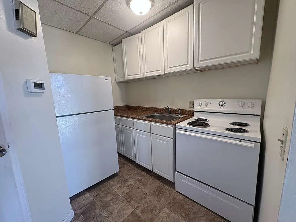 Studio, $1,295 — Photo 3