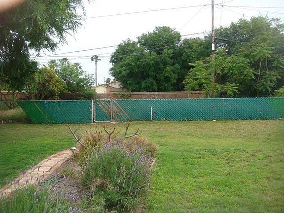 Back yard, other side.