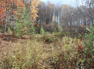 5962 Buffalo Mountain Rd SW, Meadows Of Dan, VA 24120