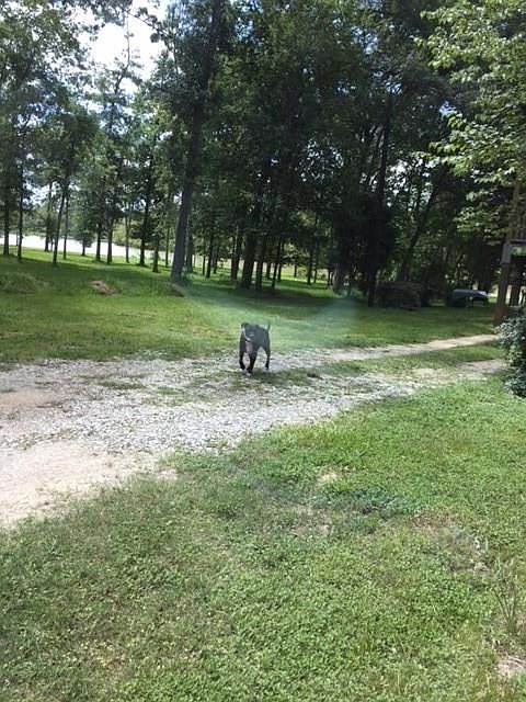 1st image of 0 W Lake Dr