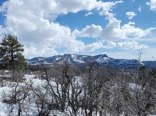 1282 Cactus Dr, Pagosa Springs, CO 81147