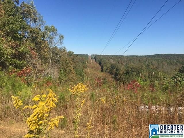 2nd image of 1455 Seven Mile Rd