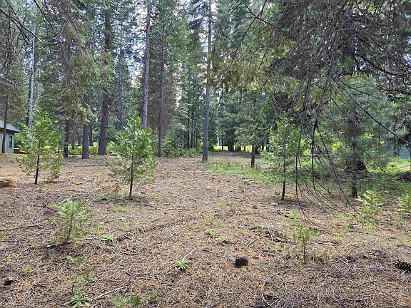 3rd image of 254 Lake Almanor West Dr