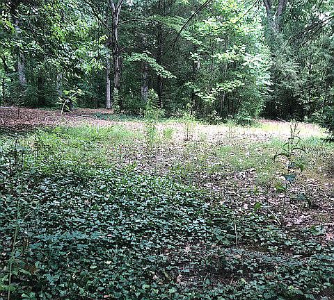 3rd image of 1191 Meadowlark Dr