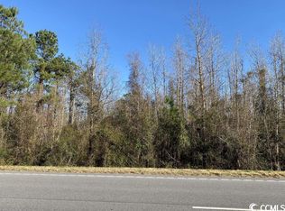 W Highway 378 LOT 21, Johnsonville, SC 29555