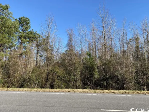 TBD Highway 378 Lot #21, Johnsonville, SC 29555