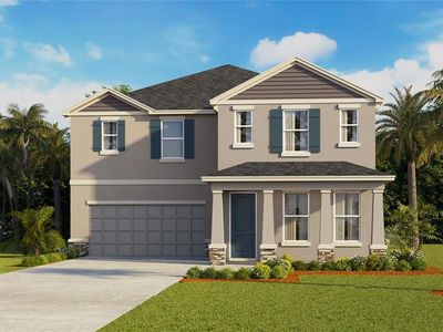 10573 Farm Hill Ave, Land O Lakes, FL, 34638