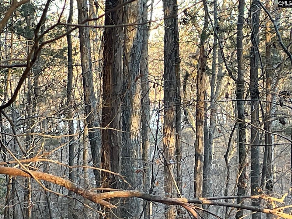 2nd image of LOT 8 Osheal Rd